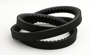 Courroies trapézoïdales